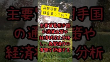 【為替操作国レポート解説】30代男性が知るべき世界経済の隠された「通貨戦争」の真実