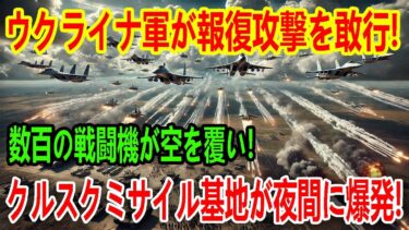 【ウクライナ戦況】最新ニュース 2025年5月24日