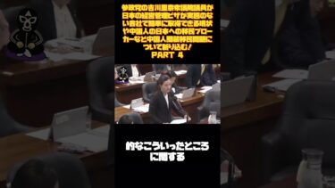 参政党の吉川里奈衆議院議員が日本の経営管理ビザが実態のない会社で簡単に取得できる現状や中国人の日本への移民ブローカーなど中国人擬装移民問題について斬り込む！PART 4