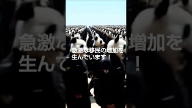 【間違った移民政策にNO！】 #日本を豊かに強く #日本保守党 #日本保守党福岡 #ショート #shorts