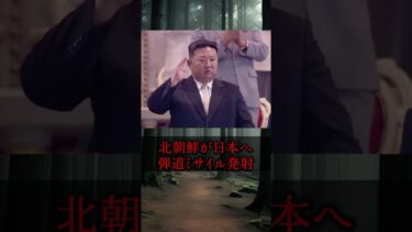いい加減にして？北朝鮮が日本に弾道ミサイル発射