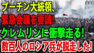 【ウクライナ戦況】最新ニュース 2025年5月25日