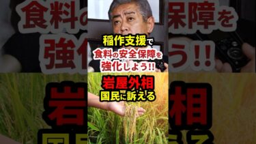 岩屋「稲作支援で食料安全保障を強化する！」#政治 #shorts