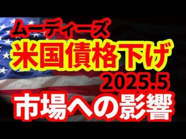 【米国経済】米国債格下げによる市場への影響を解説！機関投資家は一定のリスクを減らさざるを得ない！