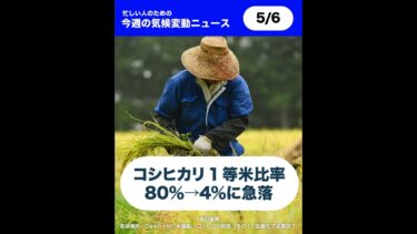 🌏今週の気候ニュースまとめ