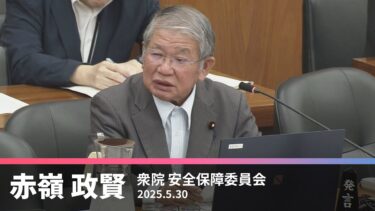 国の安全保障に関する参考人質疑　2025.5.30