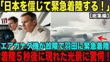 【海外の反応】【感動実話】「日本を信じて羽田に緊急着陸！エアカナダ機が見た着陸5秒後の奇跡」【総集編】