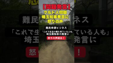 【問題発言】埼玉知事「難民申請で生活の糧にしてる人もいる」発言に怒りの声 #移民政策 #難民ビジネス #埼玉県知事 #炎上発言