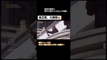【恐怖】北朝鮮、粛清を始めミサイルをぶっ放す#今日のニュース #北朝鮮 #ミサイル#恐怖