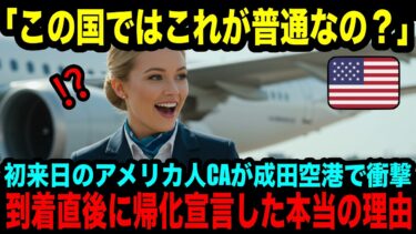 【海外の反応】「日本ではこれが普通なの…？」日本初上陸のアメリカ人の客室乗務員が成田空港で衝撃！到着1分で帰化宣言した理由とは？