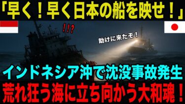 【海外の反応】「早く！早く日本の船を映せ！」世界が見捨てた海で、命を救った“たった一隻の日本船”の物語