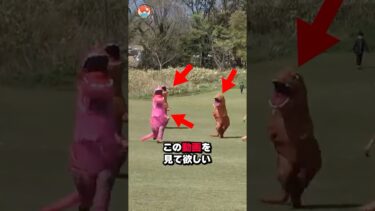 日本の”平和すぎるレース”が海外で大注目！…#shorts #shortvideo #short #海外の反応 #日本 #海外 #レース