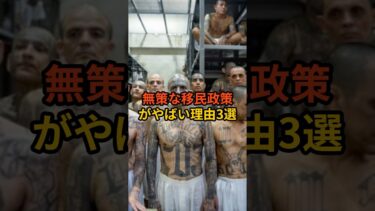 無策な移民政策がやばい理由3選 #政治 #自民党   #石破茂   #shorts  #投票 VOICE:VOX 青山龍星 VOICE:VOX Nome