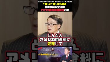 食料安全保障の本当の意味、量だけではない「質」の重要性 #食料安全保障 #食品質 #輸入依存 #アメリカ農産物 #食の安全 #鈴木宣弘