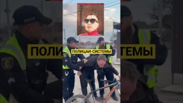 #украина #новости #мобилизация #полиция #тцк #система #власть #зеленский #война