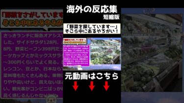 【海外の反応】日本では野菜が食べられない？！野菜を探す海外旅行者からのSOS　#海外の反応 #日本食 #日本文化
