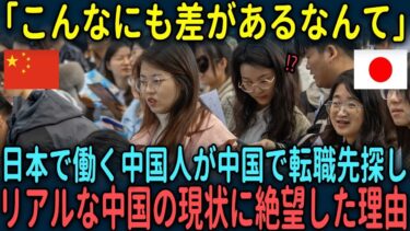 【海外の反応】「こんなにも差があるなんて」日本で働く中国人が中国で転職先を探し友人を訪ねリアルな中国の現状に絶望した理由とは