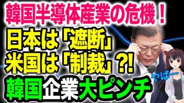 【海外の反応】「日本に追いつけない…」韓国半導体産業の危機！アメリカ政府から内部情報提出命令も【令和ニュースみんなの声3】