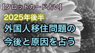 【タロット占い】　日本の移民問題の今後と原因について占う【2025年後半】