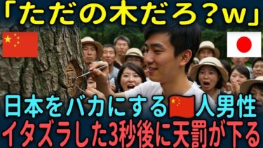 【海外の反応】「日本人は怒らないからw」日本をバカにする中国人男性がイタズラした3秒後に天罰が下る