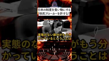 【 ●国移民ブローカー