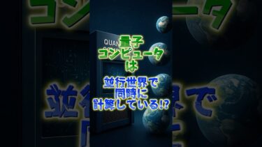 量子コンピュータは並行宇宙を使っているのか？