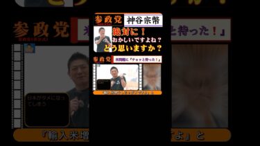 02 【真実】政治の初歩分かっちゃいない 日本の安全保障を蔑ろにするな❗️ #参政党 #神谷宗幣 #参政党 日本人ファースト #shorts