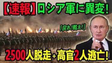 【ウクライナ戦況】最新ニュース 2025年5月29日
