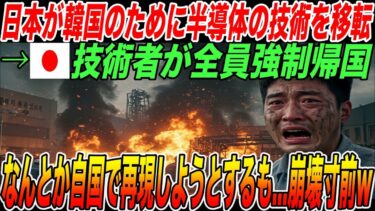 日本が韓国のために半導体の技術を移転→しかし、日本の技術者が全員強制帰国！なんとか自国で再現しようとするも…産業が崩壊寸前！【海外の反応・日本の技術】