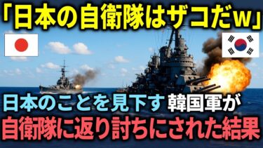 【海外の反応】「日本の自衛隊はザコそうw」韓国軍は日本の自衛隊と比べても圧倒的に弱いと返り内にあってしまう結末！