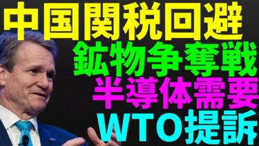 【米国株】中国関税下で半導体革命！レアアース争奪戦！トランプ関税をWTOへ提訴！スタグフレーション景気後退リセッション暴落FRB政策【NASDAQ100レバナスS&P500投資ナスダック経済ニュース】