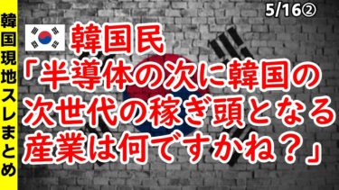 韓国民｢半導体の次に韓国の次世代の稼ぎ頭となる産業は何ですかね？｣【ニュース･スレまとめ･海外の反応･韓国の反応】