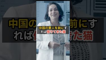【弱腰外交の果て】ついに誕生？中国人専用病院とチャイナスクールの正体