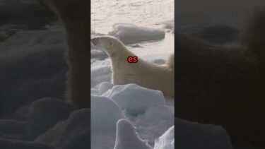 Global Warming #shorts #shortvideo #facts #faktaunik