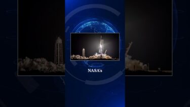 SpaceXs Star Wars Day Launch