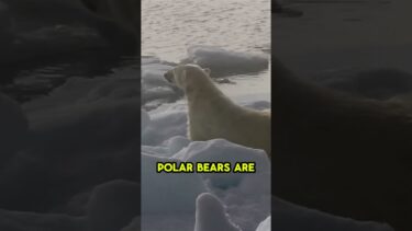 “The Earth Is Boiling: The Truth About Global Warming”