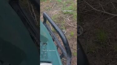 Ukrainian Soldiers Stopped Right In Front of Mines #warinukraine