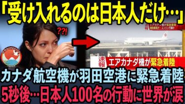 【海外の反応】世界2億人が涙した日本人100名の衝撃行動！英国BBCが突如緊急特集した理由【エアカナダ機】