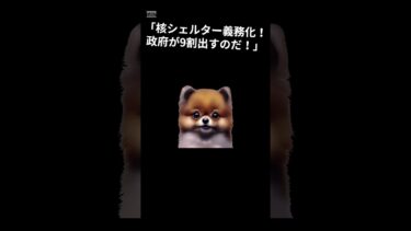 核シェルター革命！！　#shorts  #国際情勢 #世界ニュース #税制解説 #VOICEVOX #ずんだもん #ショート動画 #経済ニュース