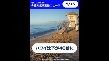 🌏今週の気候変動ニュースまとめ