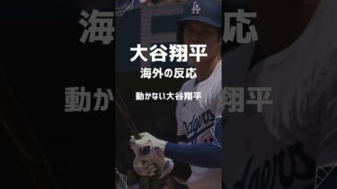 【海外の反応】大谷翔平 バットが折れた瞬間の悲しすぎる表情に海外ファン騒然「まるで親友を失ったみたいだ…」