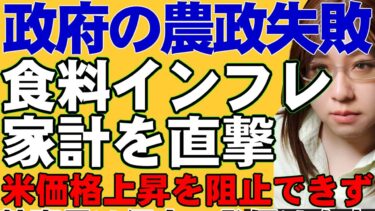 日本の食料インフレ8%。欧米より４倍ひどい。自公政権の農政失敗という問題。特に米価格上昇は「1年で倍」という状況について解説