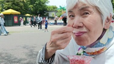 異常気象で茶摘みできず　リクエストの動物園で母と初削り いちごと初たんちょう鶴　　