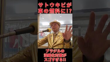 ブラジルの温暖化対策 日本を輝かせる！金キラなみへいこと河野なみへいです！ヨコハマ金沢シーサイドfmのMCをやっております！