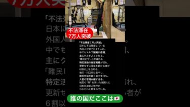 移民推進中秩序崩壊中#shorts