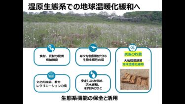 明治大学 農学部【湿原生態系での地球温暖化緩和へ】（農学科）