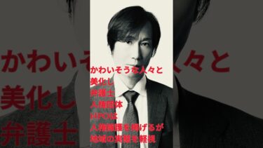 【不法移民問題の矛盾】2025年 東京都議会議員選挙 板橋区選挙区_22