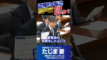 国産EV電池 瀬戸際ではないか？