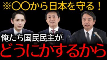 【国民民主党】