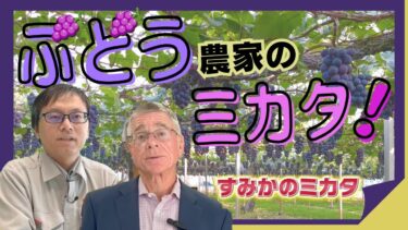 【着色UP】ブドウ農家のピンチを救え！温暖化に負けない農薬開発【すみかのミカタ】